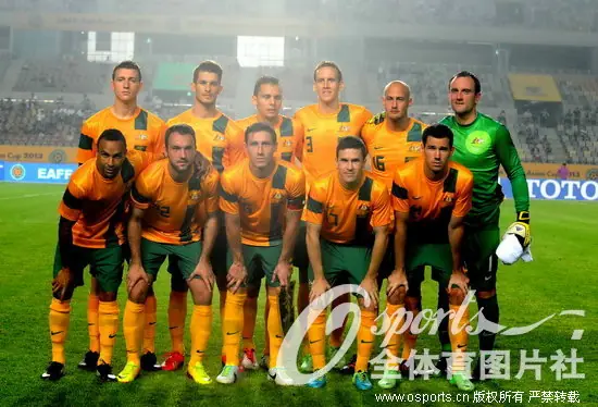 2013东亚杯国足教练？2013年东亚杯的介绍