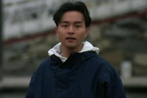 张国荣演过的电影有哪些？张国荣演过的电影 张国荣出演过的电影-第4张图片-爱游哥学习网