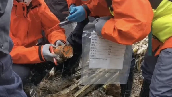 东航客机事故现场已发现失事飞机残骸碎片,搜救难度有多大？-第15张图片-爱游哥学习网