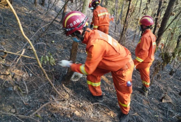 东航客机事故现场已发现失事飞机残骸碎片,搜救难度有多大？-第4张图片-爱游哥学习网