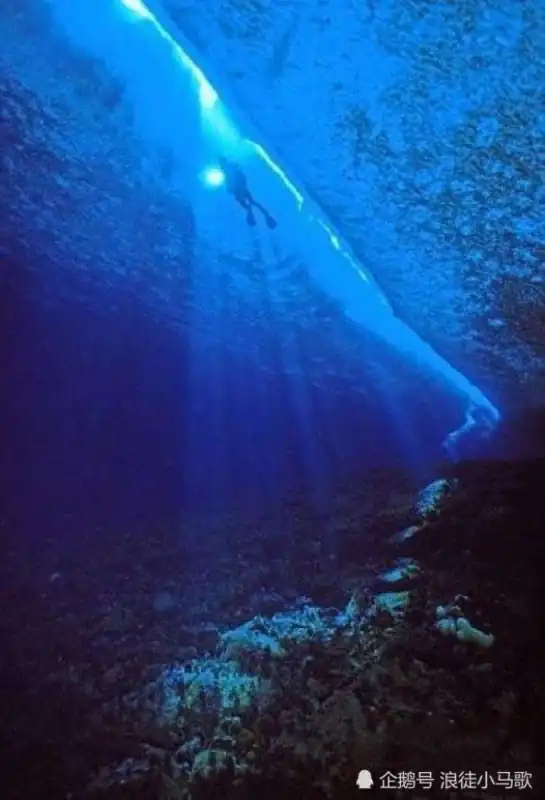 为什么叫蛟龙号载人潜水器(蛟龙号潜水器是载人的吗)
