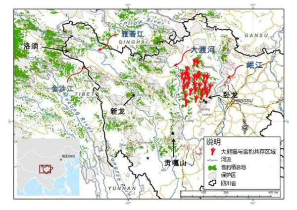大熊猫的天敌是谁 大熊猫的天敌是什么(大熊猫有天敌吗 大熊猫有没有天敌)-第16张图片-爱游哥学习网