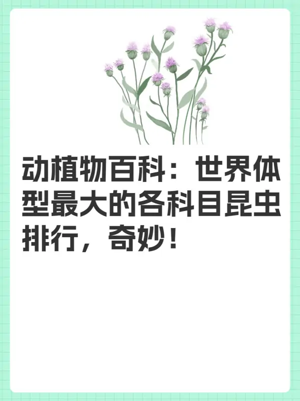 世界上最大的蚊子叫什么(世界上最大的蚊子是什么呢)