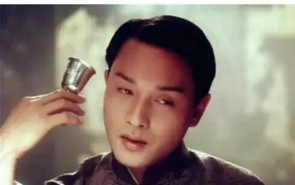 张国荣演过的电影有哪些？张国荣演过的电影 张国荣出演过的电影-第6张图片-爱游哥学习网