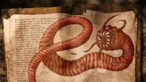 蒙古死亡之虫有多大？蒙古死亡之虫 是什么-第2张图片-爱游哥学习网