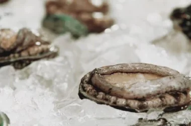 鲍鱼怎样处理干净(鲍鱼如何处理干净)