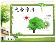 碳捕集与封存的介绍(碳汇和碳捕集利用与封存)-第9张图片-爱游哥学习网