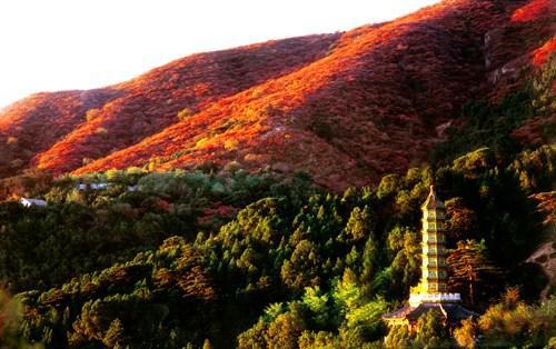 香山公园有什么好玩的景点(香山公园周边有什么好玩的)