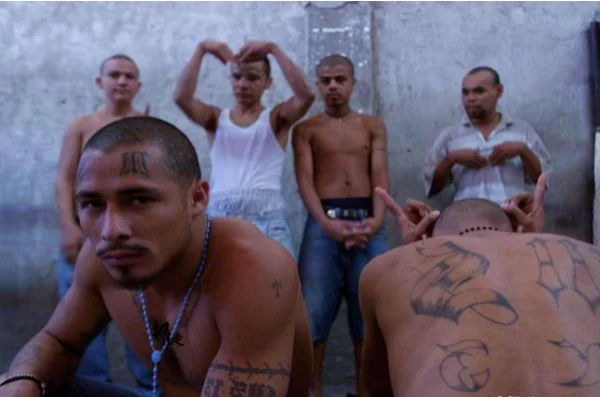 世界上邻国最多的国家是 世界上邻国最多的国家是哪一个-第8张图片-爱游哥学习网