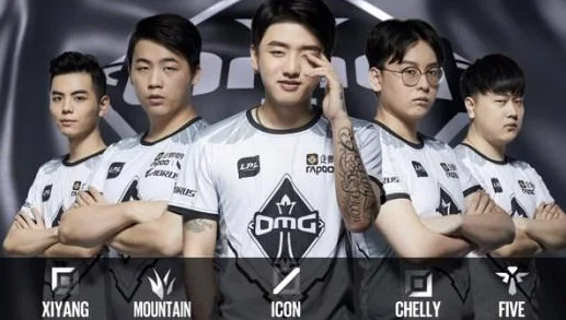 rng战队是那个国家的呀？rng战队是哪个公司的-第4张图片-爱游哥学习网