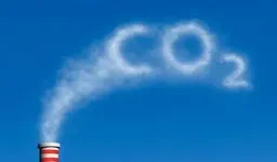 碳捕集与封存的介绍(碳汇和碳捕集利用与封存)-第7张图片-爱游哥学习网