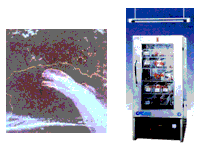 大兴安岭什么时候发生的火灾？大兴安岭火灾是那一年