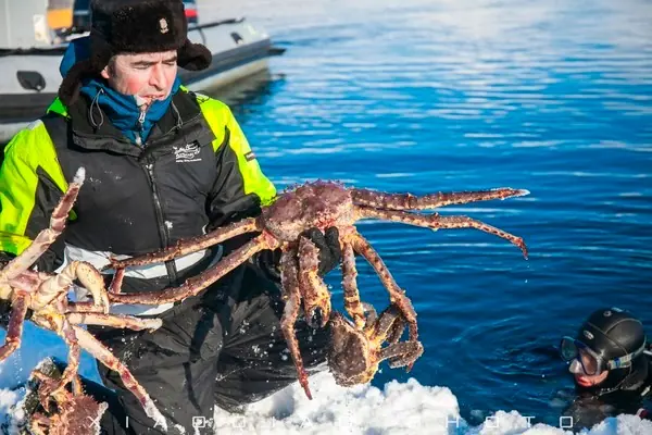 世界上最危险的螃蟹(世界上最危险的职业是什么？)-第9张图片-爱游哥学习网