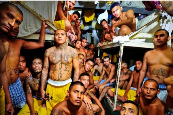 世界上邻国最多的国家是 世界上邻国最多的国家是哪一个-第6张图片-爱游哥学习网