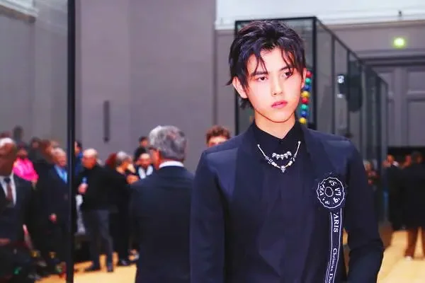 陈飞宇阿瑟是什么意思(阿瑟陈飞宇父母)-第18张图片-爱游哥学习网