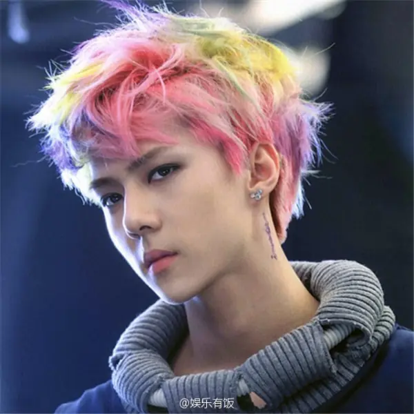 鹿晗是什么时候去韩国的？鹿晗怎么去的韩国-第2张图片-爱游哥学习网