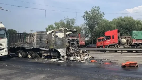 校车与货车相撞儿童如何自保？-第14张图片-爱游哥学习网