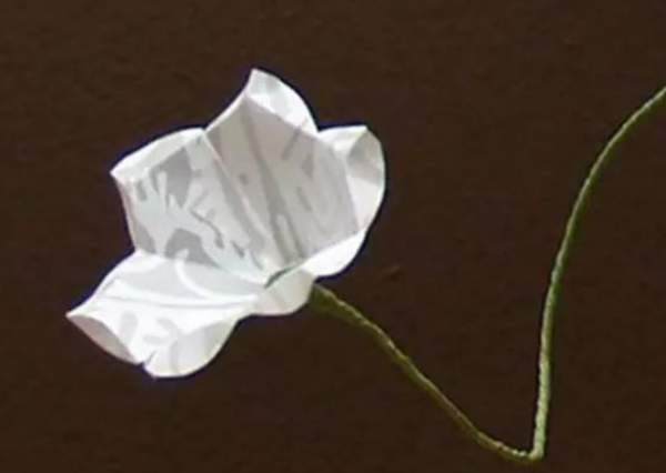 手工小白花的制作方法(简易小白花的制作方法)