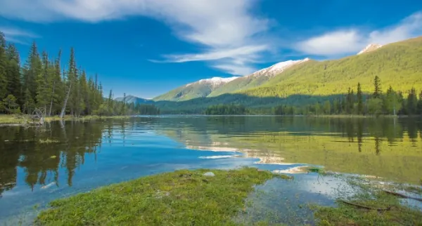 喀纳斯有哪些景点值得游玩？喀纳斯是哪里的景点-第2张图片-爱游哥学习网