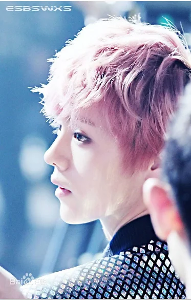 鹿晗是什么时候去韩国的？鹿晗怎么去的韩国-第3张图片-爱游哥学习网