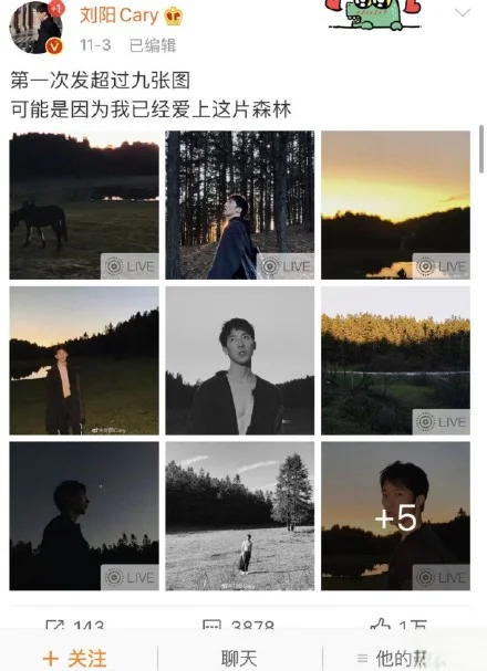 半藏森林和大海是什么梗？半藏森林梗介绍-第3张图片-爱游哥学习网