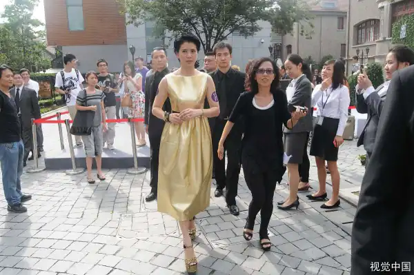 张智霖和袁咏仪演过哪些电视剧？袁咏仪出演过那些电视剧？-第12张图片-爱游哥学习网