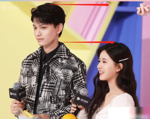 李维嘉的身高有多少(何炅和李维嘉的身高是多少？)-第6张图片-爱游哥学习网