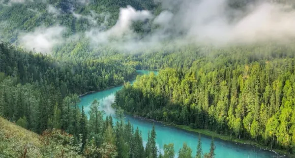 喀纳斯有哪些景点值得游玩？喀纳斯是哪里的景点-第8张图片-爱游哥学习网