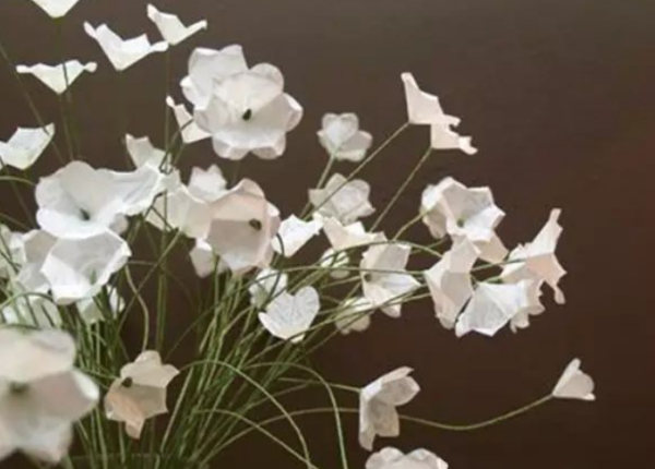 手工小白花的制作方法(简易小白花的制作方法)-第2张图片-爱游哥学习网