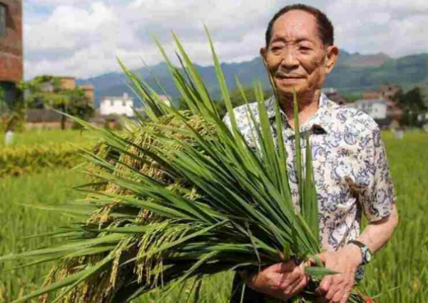 中国最牛核潜艇(中国核潜艇数量是多少？)-第12张图片-爱游哥学习网