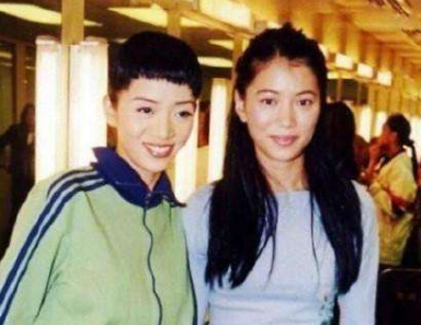 张智霖和袁咏仪演过哪些电视剧？袁咏仪出演过那些电视剧？-第2张图片-爱游哥学习网