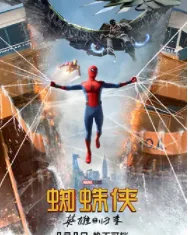 spider man是什么意思(spider man怎么调中文？)-第3张图片-爱游哥学习网