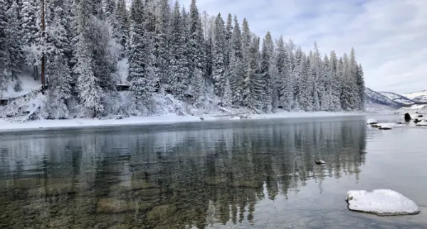 喀纳斯有哪些景点值得游玩？喀纳斯是哪里的景点-第10张图片-爱游哥学习网
