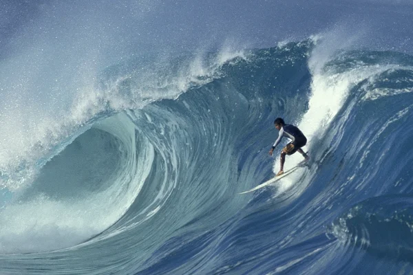 surfer介绍？surfer怎么读