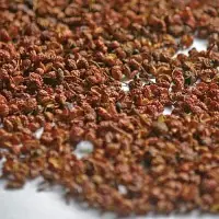 花椒粉怎么做 怎么简单做美味的花椒粉(在家怎样做花椒粉)