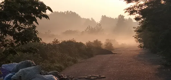 如何评价《新笑傲江湖》中的任盈盈？新笑傲江湖任盈盈最后死了吗-第2张图片-爱游哥学习网