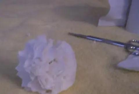 手工小白花的制作方法(简易小白花的制作方法)-第8张图片-爱游哥学习网