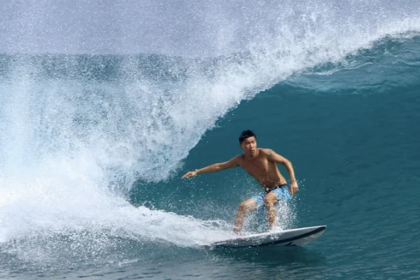 surfer介绍？surfer怎么读-第2张图片-爱游哥学习网