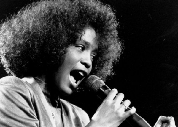 惠特尼休斯顿的死因是什么？惠特尼休斯顿怎么去世的-第2张图片-爱游哥学习网