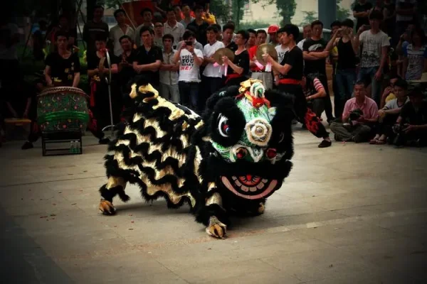 舞狮子颜色含义？舞狮子的含义 是怎么解释的-第6张图片-爱游哥学习网