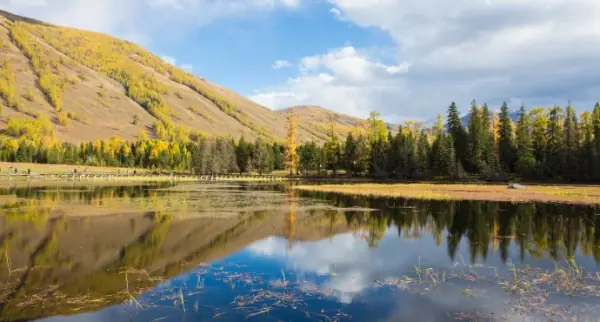 喀纳斯有哪些景点值得游玩？喀纳斯是哪里的景点-第6张图片-爱游哥学习网