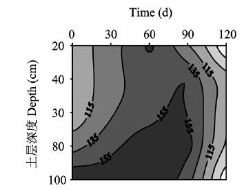 surfer介绍？surfer怎么读-第10张图片-爱游哥学习网