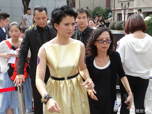 张智霖和袁咏仪演过哪些电视剧？袁咏仪出演过那些电视剧？-第11张图片-爱游哥学习网