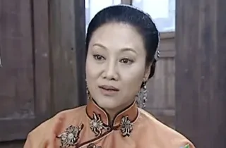 大宅院里的女人剧情介绍 大宅院里的女人讲的什么