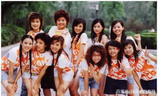 2005年超级女声前十名(08年超级女声的前十名有哪些啊)-第10张图片-爱游哥学习网