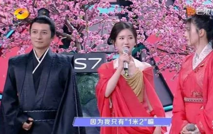 李维嘉的身高有多少(何炅和李维嘉的身高是多少？)-第9张图片-爱游哥学习网