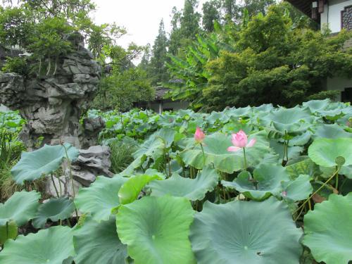 参差十万人家出自哪首诗以及全文 参差十万人家原文-第3张图片-爱游哥学习网